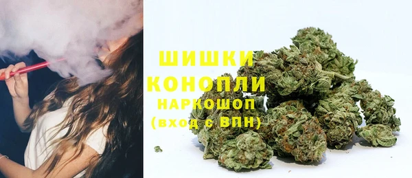 apvp Осинники