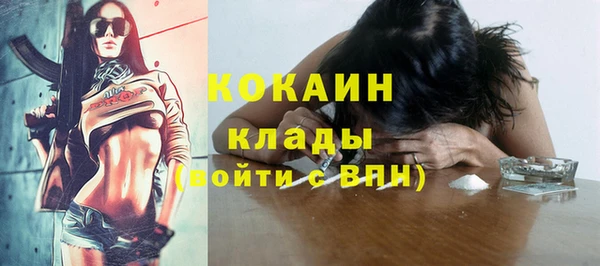 apvp Осинники