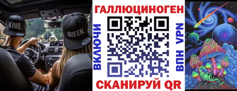 где найти наркотики  Кулебаки  Галлюциногенные грибы Psilocybe 