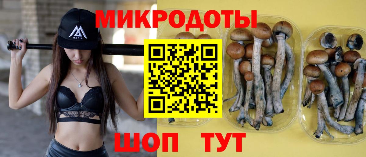 Псилоцибиновые грибы Magic Shrooms Кулебаки